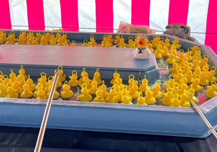 Carnival game hire Hook a duck game hire Northern Ireland