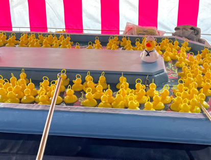Carnival game hire Hook a duck game hire Northern Ireland