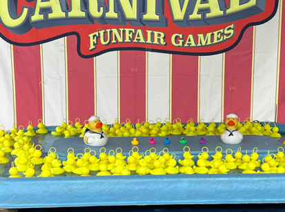 Hook a duck Carnival, funfair game hire Northern Ireland
